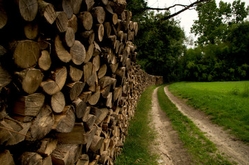 Logs waiting to be taken away by the side of a footpath