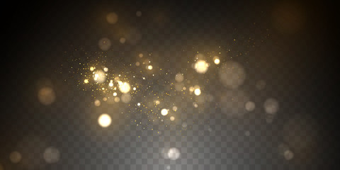 Fototapeta na wymiar Golden particles, sparkling bokeh lights isolated on transparent background
