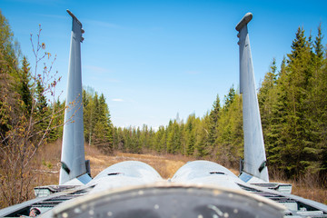 Blue skies are still behind this bird.
