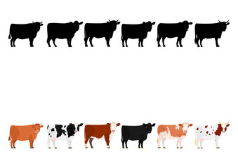 various cows in a row  - obrazy, fototapety, plakaty