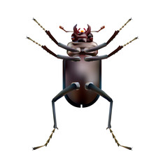 Stag beetle - Lucanus cervus