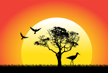 Fototapeta na wymiar landscape with a tree and different birds on a sunset background