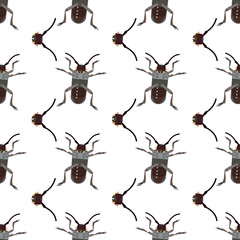 Background with a barbel beetle