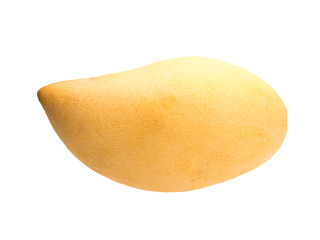 Graphic resources: isolated object fruit of a plant of the genus Mango of the Anacardia family