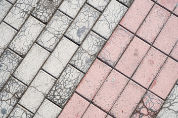 Fototapeta premium Background image of pavement texture