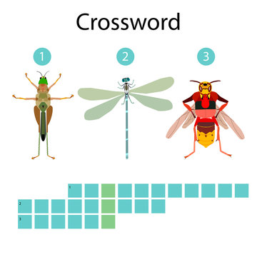 Children's crossword about insects