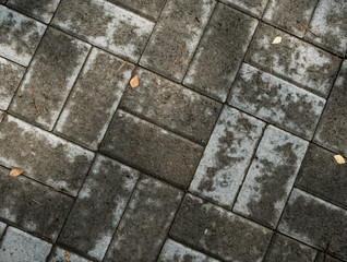 Texture of paving slabs overgrown with grass. Background image of a stratum stone