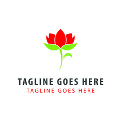 Lily flower logo design template. beautiful Lily logo vector illustration