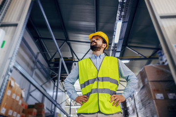 Low angle view of successful proud businessman standing with hands on hips and looking around his...