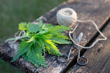 A fresh bunch of cut nettles on a wooden background with old scissors and twine, low depth of field. Preparation of medicinal herbs in early spring. The concept of natural medicine.