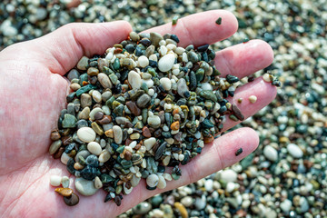 sea pebbles in men's hands
