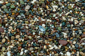 sea pebbles on the beach