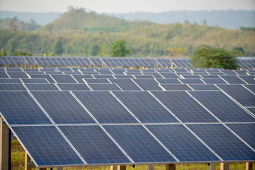 Photovoltaic cell in the solar panel farm