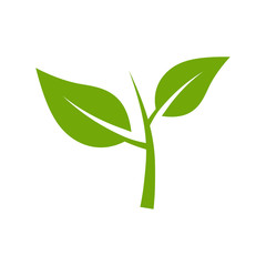 leaf logo - leaf icon vector design template