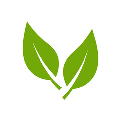 leaf logo - leaf icon vector design template