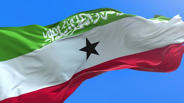 Somaliland flag - 3D realistic waving flag background