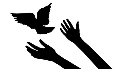 Flying bird from woman's hands, symbol of freedom or victory, isolated silhouette. Vector illustration