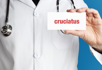 cruciatus. Doktor mit Stethoskop (isoliert) zeigt Karte. Hand hält Schild mit Text. Blauer Hintergrund. Medizin, Gesundheitswesen