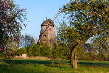 wiatrak w  Palczewie © anduel