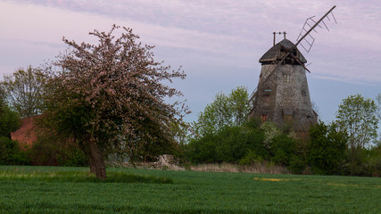 wiatrak w  Palczewie © anduel