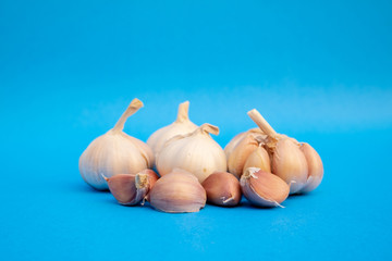 Garlic and Garlic Cloves place on blue background