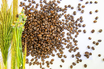 coffee beans background