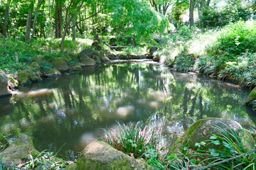 Fototapeta na wymiar 東村山中央公園の池
