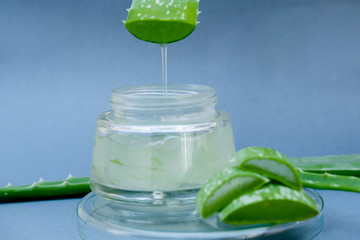 Aloe vera Gel that has both substances to cure scars And used to produce health drinks Or cosmetics...