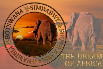 Afrika Sonnenaufgang und Sonnenuntergang mit Elefanten und Giraffen