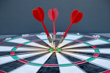 Fototapeta premium The arrow in the middle of the dartboard Demonstrate the concept of a successful business goal