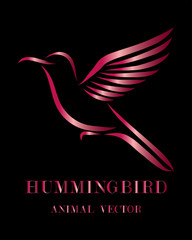 Fototapeta na wymiar Flying hummingbird line art eps 10