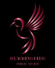 Fototapeta premium Flying hummingbird line art eps 10