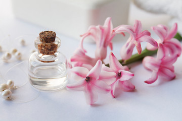 Hyacinthus orientalis ssential oil (extract, infusion) bottle with fresh pink Hyacinthus orientalis flowers isolated on white