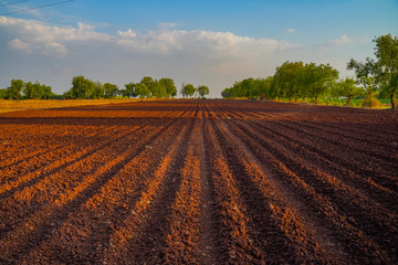 landscape of a plowed field ready for sowing