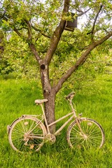 Fototapeta na wymiar altes schmutziges Fahrrad im Frühling auf grüner wiese an Baum gelehnt