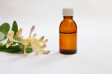 Lonicera caprifolium, honeysuckle flower essential oil (remedy, extract) bottle isolated white
