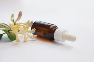 Lonicera caprifolium, honeysuckle flower essential oil (remedy, extract) bottle isolated white