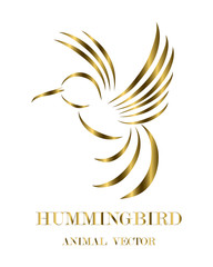 Golden line art Vector illustration on a white background of flying hummingbirds. Suitable for making logos