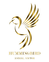 Obraz premium Golden line art Vector illustration on a white background of flying hummingbirds. Suitable for making logos