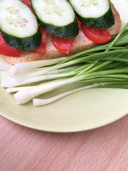 sandwich with bread and tomatoes and cucumbers on a plate with green onions