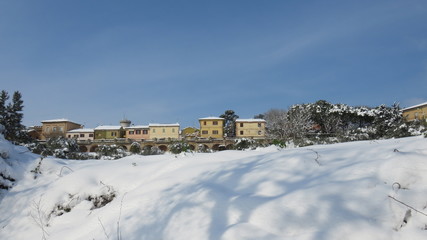 Fototapeta premium Nevicata 