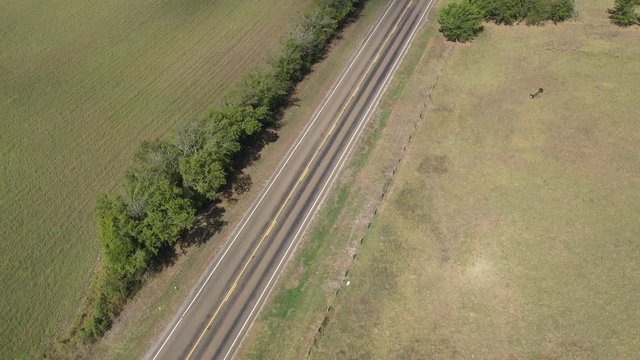 Rural highway and farms, Burleson County, Texas, USA
