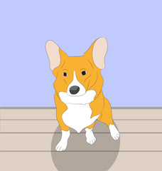 dog sitting in a room, vector