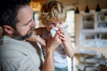 Father blowing nose of small sick son indoors at home.