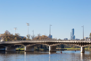 Naklejka premium Rowers on the Yarra River in Melbourne.