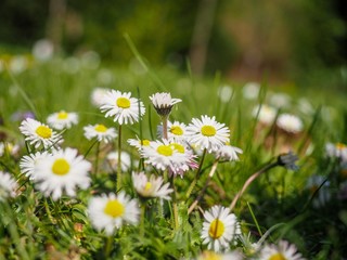 OLYMPUS DIGITAL CAMERA © martagro