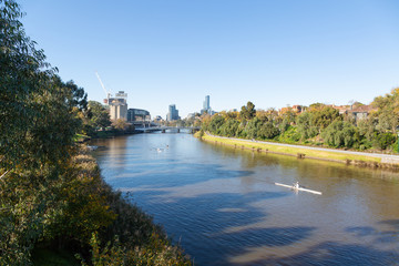 Fototapeta na wymiar Rowers on the Yarra River in Melbourne.