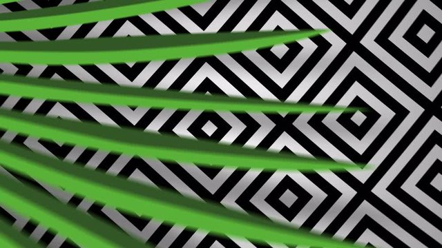 Realistic tropical green leaves zooming in. Beautiful 3d animation nature vector foliage with black white geometric background Close up 4K. Exotic footage