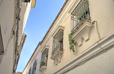 Fototapeta na wymiar Cordoba, Spain, Historical center in springtime