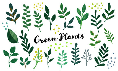 green plants